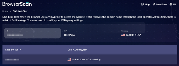 BrowserScan detecting DNS leaks